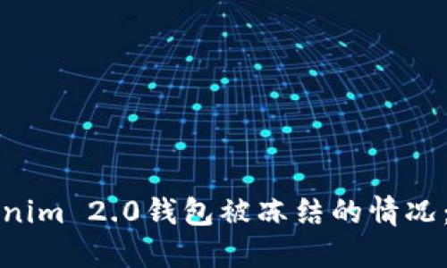 如何应对Tokenim 2.0钱包被冻结的情况：全面解决方案