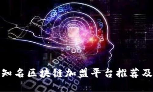 全球知名区块链加盟平台推荐及比较