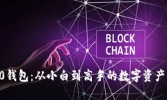 Tokenim2.0钱包：从小白到高手的数字资产管理全攻