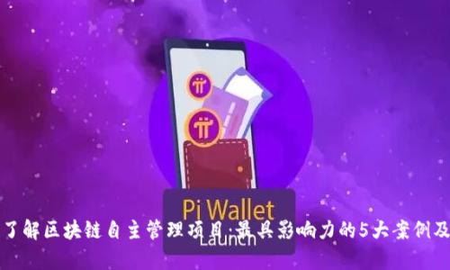 全面了解区块链自主管理项目：最具影响力的5大案例及解析