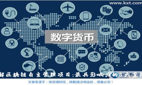 全面了解区块链自主管理项目：最具影响力的5大案例及解析