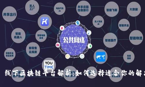 ### 线下区块链平台解析：如何选择适合你的解决方案