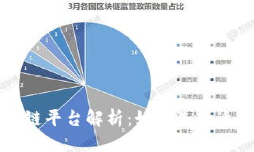 ### 线下区块链平台解析：如何选择适合你的解决方案