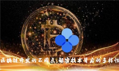 区块链开发的不同点：解密技术背后的多样性