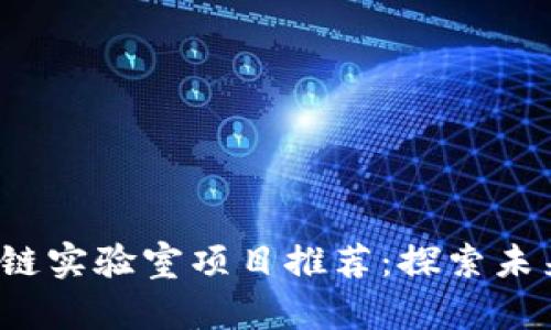 2023年区块链实验室项目推荐：探索未来科技与应用