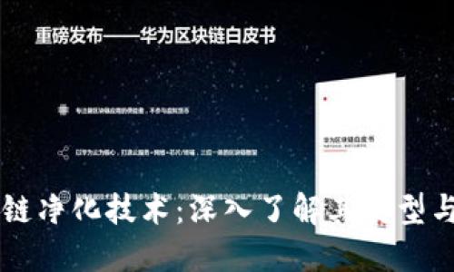 区块链净化技术：深入了解其类型与应用