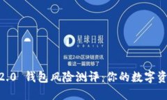 Tokenim 2.0 钱包风险测评：你的数字资产安全吗？
