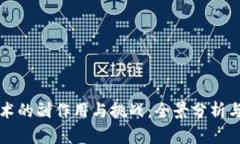 区块链技术的副作用与挑战：全景分析与应对策