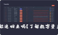 tokenim2.0被盗能追回来吗？了解数字资产安全与维