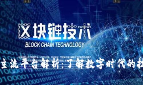 区块链主流平台解析：了解数字时代的技术巨头