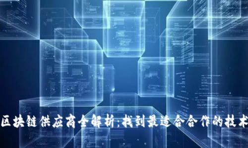 仙游区块链供应商全解析：找到最适合合作的技术伙伴