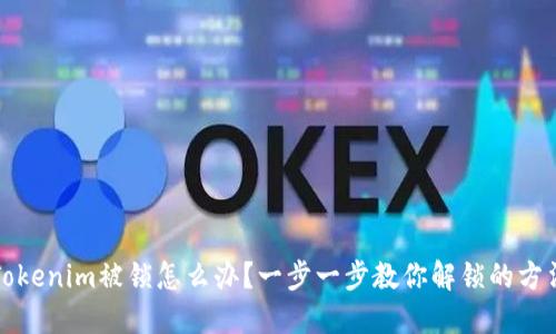 Tokenim被锁怎么办？一步一步教你解锁的方法