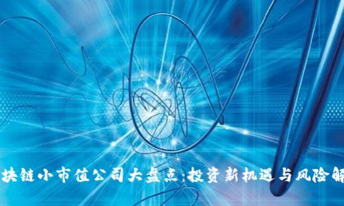 区块链小市值公司大盘点：投资新机遇与风险解析