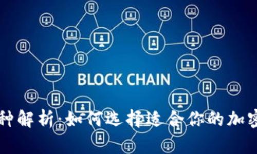 区块链币种解析：如何选择适合你的加密货币投资