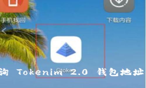 如何快速查询 Tokenim 2.0 钱包地址的转账记录？