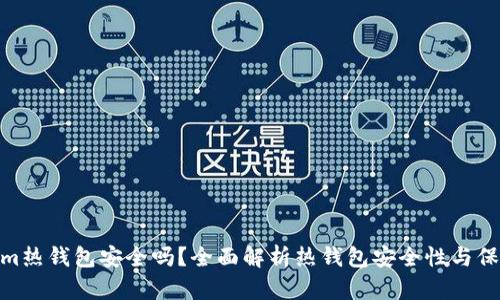Tokenim热钱包安全吗？全面解析热钱包安全性与保护措施