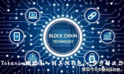 如何将Tokenim地址导入到其他钱包：一步步解决你的困扰