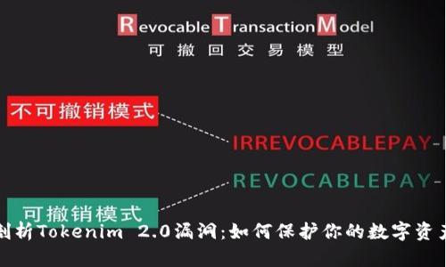 深入剖析Tokenim 2.0漏洞：如何保护你的数字资产安全