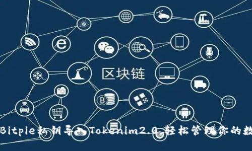 如何将Bitpie私钥导入Tokenim2.0，轻松管理你的数字资产