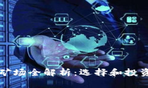 深圳区块链矿场全解析：选择和投资的最佳指南
