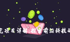 区块链极光项目详解：探索前沿科技的创新机会