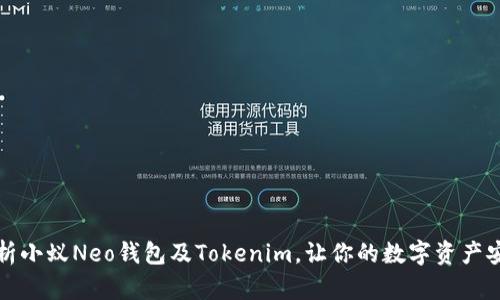 全面解析小蚁Neo钱包及Tokenim，让你的数字资产安全无忧