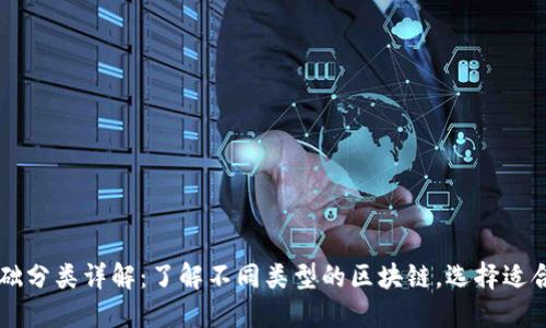 区块链基础分类详解：了解不同类型的区块链，选择适合你的应用