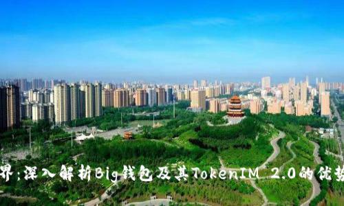 畅玩DeFi世界：深入解析Big钱包及其TokenIM 2.0的优势与使用指南