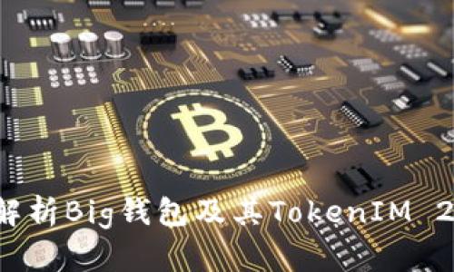畅玩DeFi世界：深入解析Big钱包及其TokenIM 2.0的优势与使用指南
