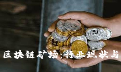 探索中国区块链矿场：行业现状与未来发展
