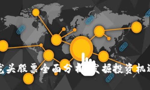 区块链龙头股票全面分析，发掘投资机遇与风险