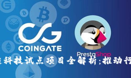 2023年区块链科技试点项目全解析：推动行业创新的关键
