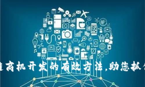 揭秘区块链商机开发的有效方法，助您抓住未来机会