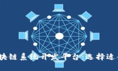 2023年最佳区块链系统开发平台：选择适合您项目