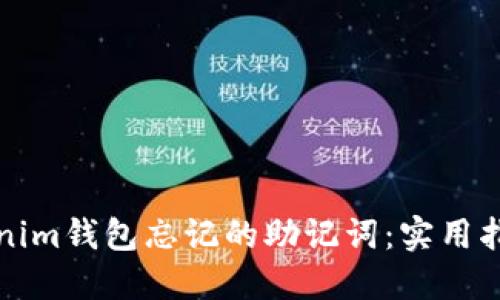 如何找回Tokenim钱包忘记的助记词：实用指南与解决方案