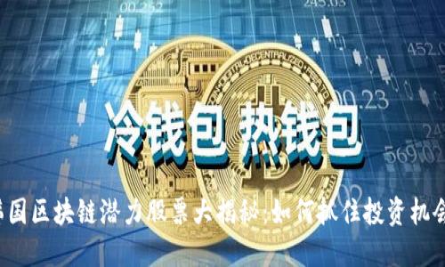 韩国区块链潜力股票大揭秘：如何抓住投资机会？