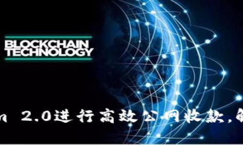 如何利用Tokenim 2.0进行高效公网收款，解决您的支付难题