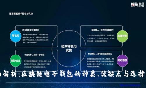 全面解析：区块链电子钱包的种类、优缺点与选择指南