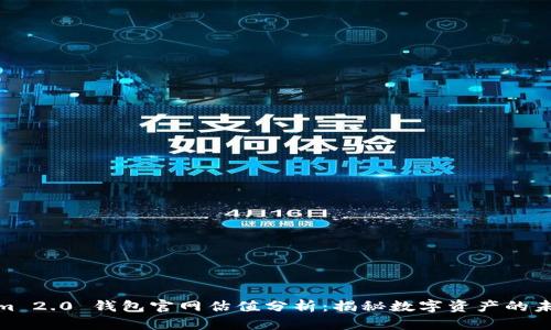 Tokenim 2.0 钱包官网估值分析：揭秘数字资产的未来趋势