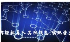 TokenIM 2.0：如何轻松导入其他钱包，实现资产管理