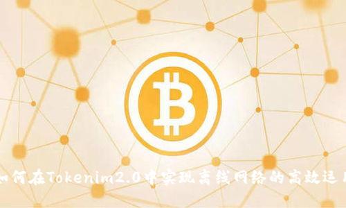 如何在Tokenim2.0中实现离线网络的高效运用