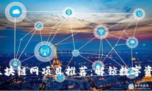 2023年区块链网项目推荐：解锁数字资产新机遇