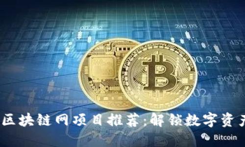 2023年区块链网项目推荐：解锁数字资产新机遇