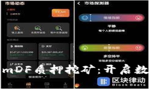 轻松理解TokenimDF质押挖矿：开启数字资产增值之旅