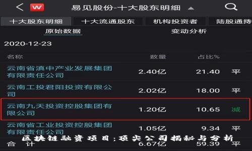 区块链融资项目：顶尖公司揭秘与分析