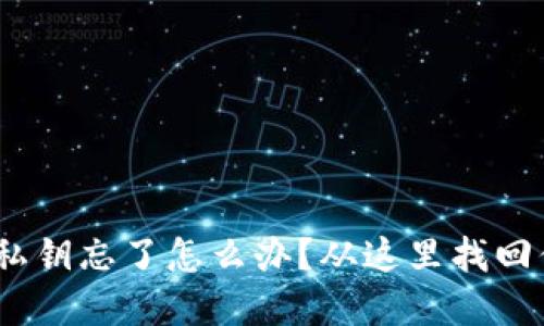 Tokenimeos私钥忘了怎么办？从这里找回你的数字资产