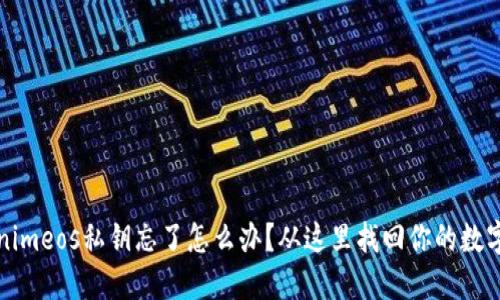 Tokenimeos私钥忘了怎么办？从这里找回你的数字资产