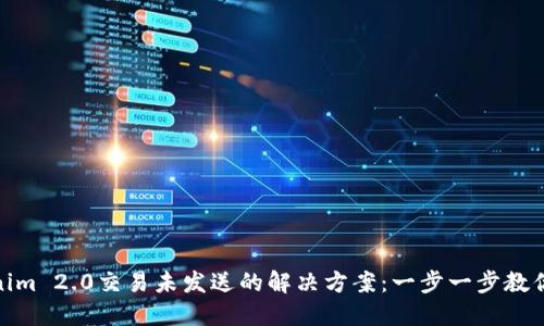 Tokenim 2.0交易未发送的解决方案：一步一步教你搞定