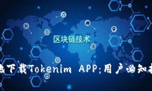 如何安全高效地下载Tokenim APP：用户必知技巧与注意事项