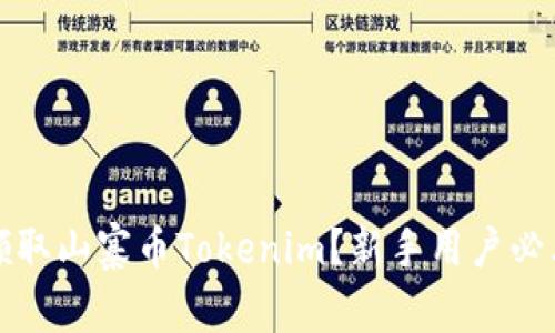 如何领取山寨币Tokenim？新手用户必看指南